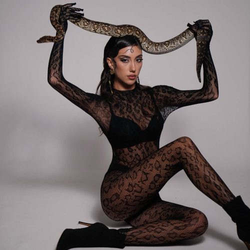 ვენერა მორიელში , venus in scorpio , sexshop , sex shop georgia , venus in scorpio , ვენერა მორიელში , თაიგერ პრინტი , სთოქინგი , sexshop georgia , cosplay georgia , ბადე კოლგოტი , ბადის კალგოტკა ,